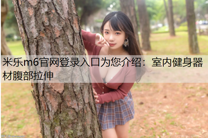 室内健身器材腹部拉伸