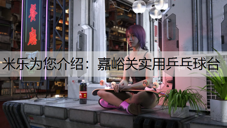 嘉峪关实用乒乓球台