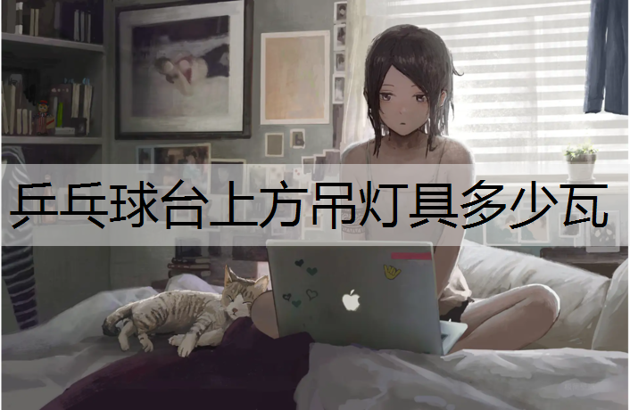 乒乓球台上方吊灯具多少瓦
